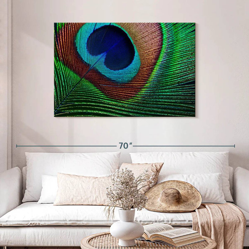 Fine Peacock Feather, 30" H x 45" W