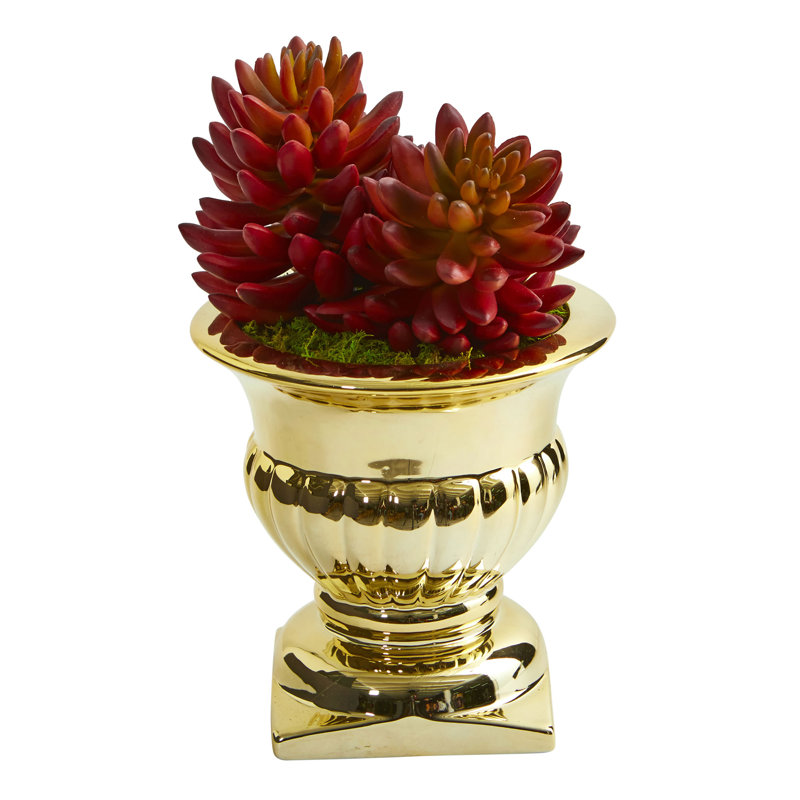 Plante de cactus artificielle 11" en urn