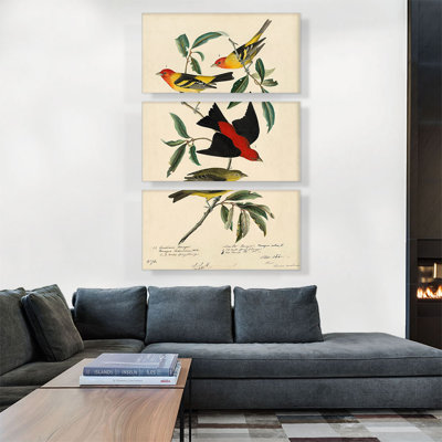 «Louisiana Scarlet Tanager» par James Audubon, ensemble de 3 reproductions d'art sur toile tendue