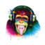 Dj Monkey by Patrice Murciano - Wrapped Canvas Print-1353798
