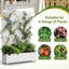 Lit de jardin en métal avec treillis et roues H 6 pi x l 4 pi - blanc-1503515745-1503515748