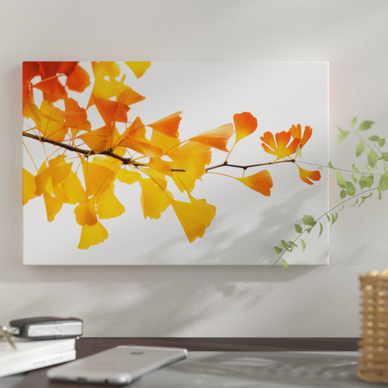 «Ginkgos Subtle Shades», reproduction de photo sur toile, H 8 po x l 12 po x P 0,75 po