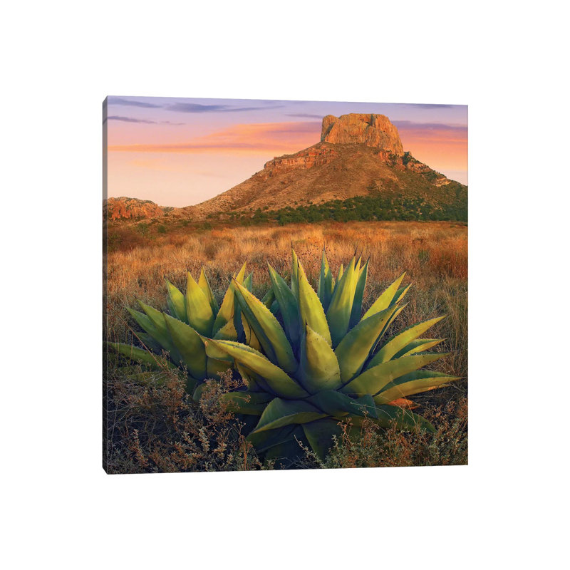 Casa Grande Butte With Agave In Foreground, Big Bend National Park, Texas by Tim Fitzharris - Wrapped Canvas Print