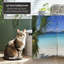72" x 63" Double Sided Ocean 4 Panel Room Divider-897734316
