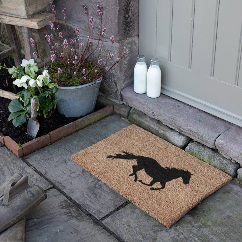 Drakeford Non-Slip Indoor Doormat