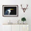 Pied Heron - Picture Frame Graphic Art Print-56704462-56704465