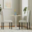 Modern Dining Chairs (Set Of 2)-1686725741