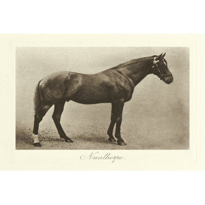 Nunthorpe - Wrapped Canvas Print
