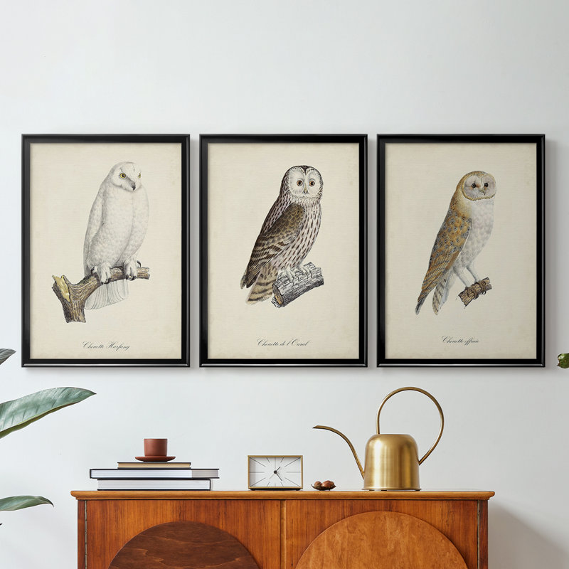 French Owls IV - Toile tendue avec châssis sur mesure - 3 pièces, H 21 po x l 30 po, Noir