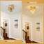 Luminaires bohémiens 3 lumières - Luminaire en rotin de ferme avec abat-jour en cage tissée, plafonniers semi-encastrés dorés pour chambre à coucher, cuisine, couloir-1966629718
