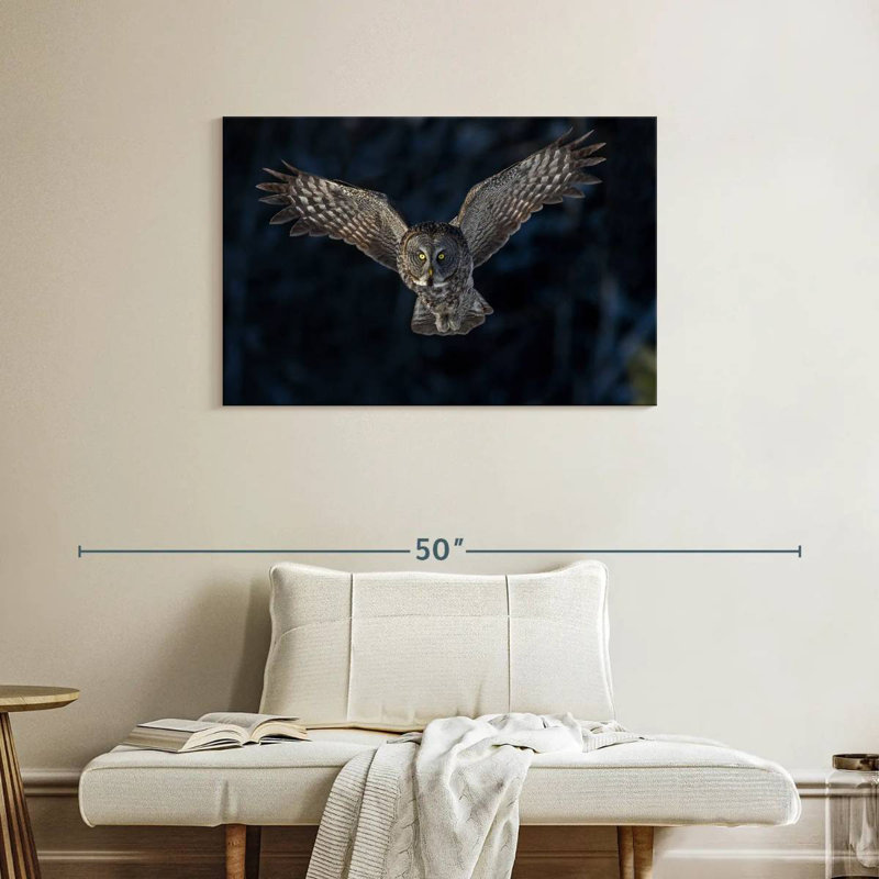 Flying Gray Owl, 24" H x 36" W