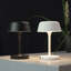Metal Novelty Lamp