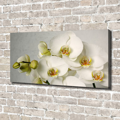 White Orchid - Wrapped Canvas Print
