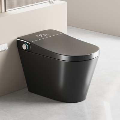 Unique Smart Toile,  One Piece Toilet with Bidet Built In,Intelligent Toilet Auto Open/Close Seat. Bidet toilet with Dryer and Warm Water.BLACK