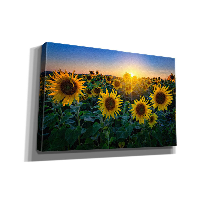 «Aroostook Sunset» par Rick Berk, art mural sur toile, H 26 po x l 40 po x P 1,5 po