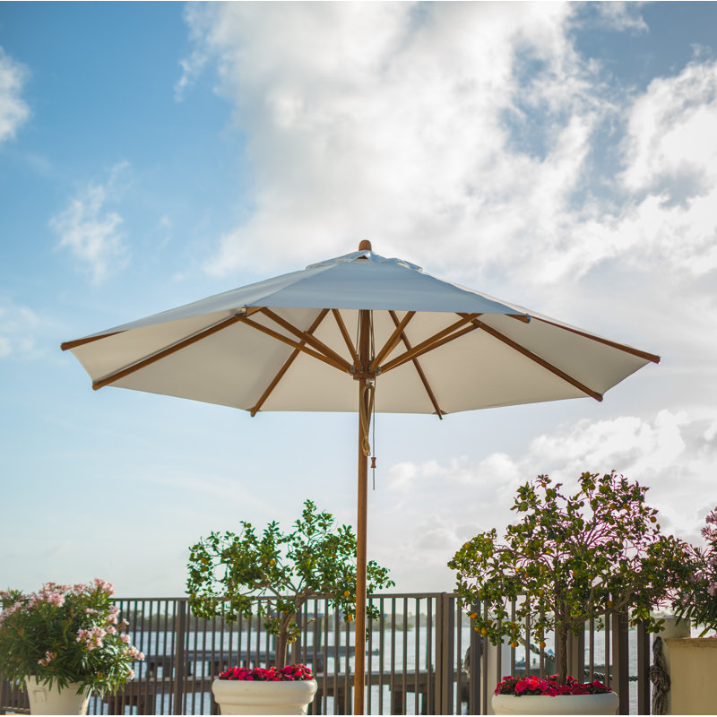Yadira Market Parasol, Ecru, 300 cm W x 300 cm D