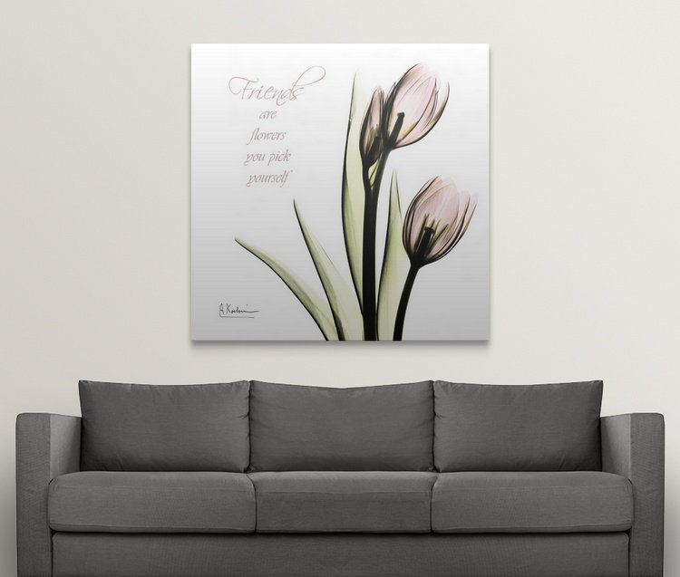 Inspirational Tulip X-Ray Albert Koetsier - Print, 35" H x 35" W x 1.5" D, Canvas