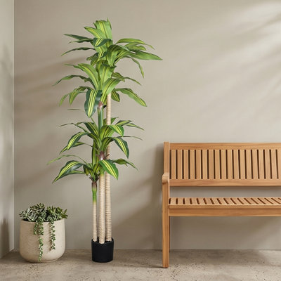 Arbre Dracaena artificiel en pot, plante Dracaena artificielle, faux arbre pour décoration intérieure, 6 pi