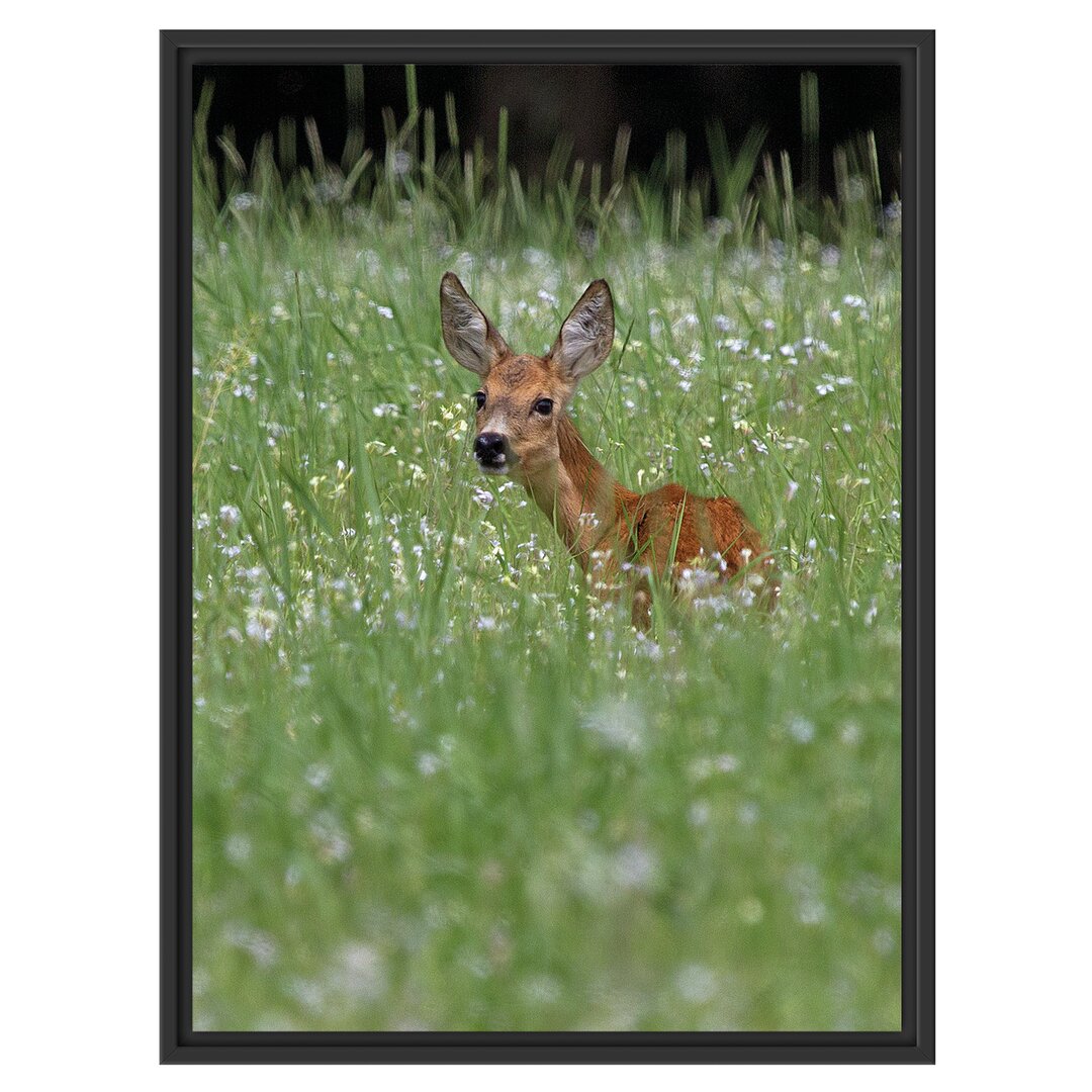 Gerahmtes Wandbild kleines Rehkitz auf Wiese