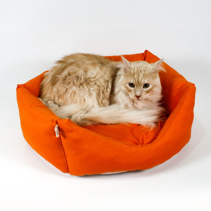 Turner Doughnut, Orange, 20cm H x 55cm W x 55cm D
