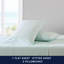 Ensemble de draps en percale de coton 200 fils Bradford-27355241-93808529