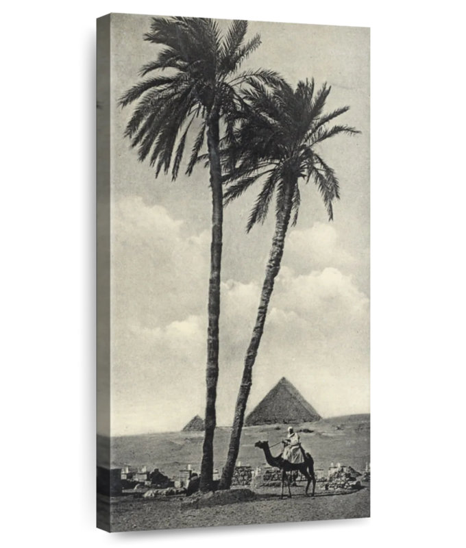 Cairo, 48" H x 24" W
