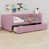 Rose est en rupture de stock