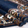 Beckwourth Performance Floral Indoor Rug