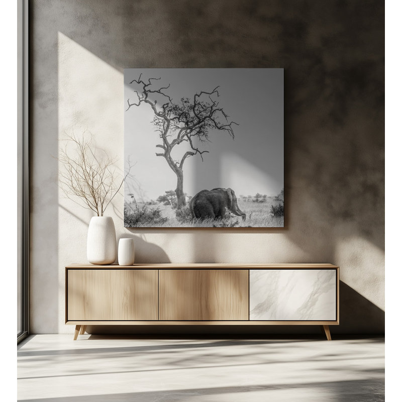 Wrapped Canvas Print