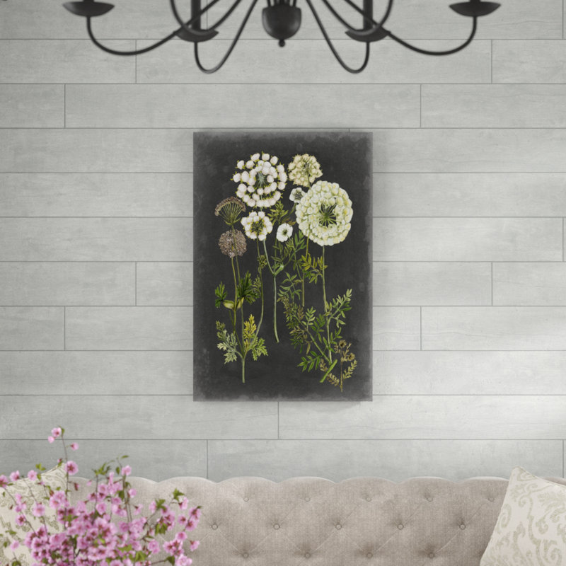 Bookplate Floral II by Naomi McCavitt - Painting on Canvas, 91cm H x 61cm W, Wrapped Canvas
