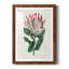 Protea N13 - Peinture encadrée-841114264-841114261