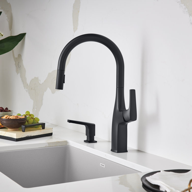 Rivana High-Arc Pull-Down Dual-Spray Kitchen Faucet
