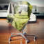 Coussin décoratif solitaire Antilope in Green Park-30721355-30721351