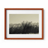 The Summer Wind Print by Joseph Regan