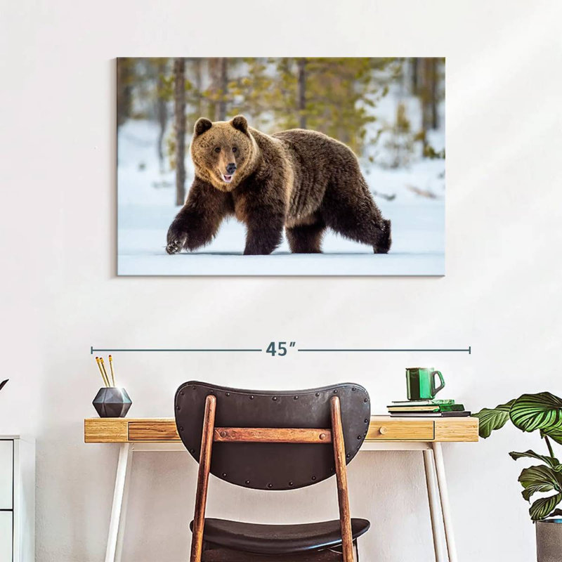 Adulte grizzly, H 26 po x l 39 po