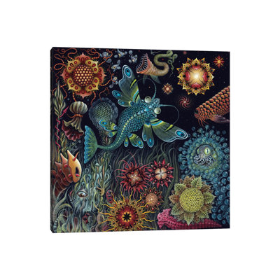 Starfish 1 Piece Wrapped Canvas Wall Art