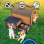 Niche pour chien portable et solide pour aire de jeux