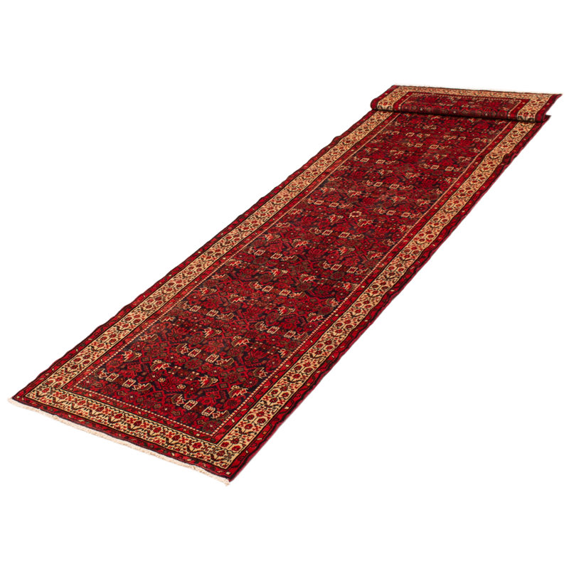 Tapis rouge Andelz 3 pi 7 po x 13 pi 4 po