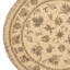 High-Quality Hand-Knotted Ivory Area Rug
