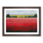 XH1022-607X An Enigmatic Poppy Field Flowers - Single Picture Frame Print-961896668-961896671