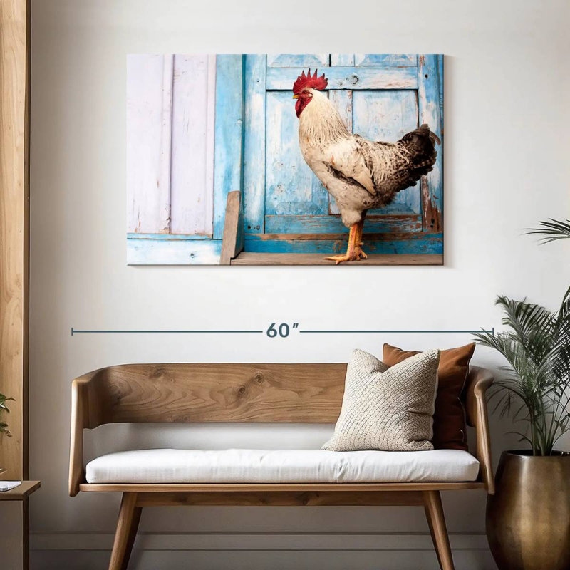 Coq domestique Crowle, H 30 po x l 45 po
