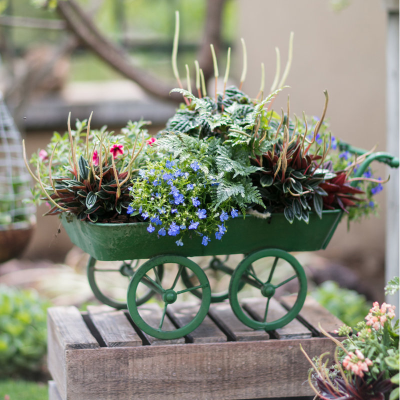 Penix Metal Wheelbarrow Planter