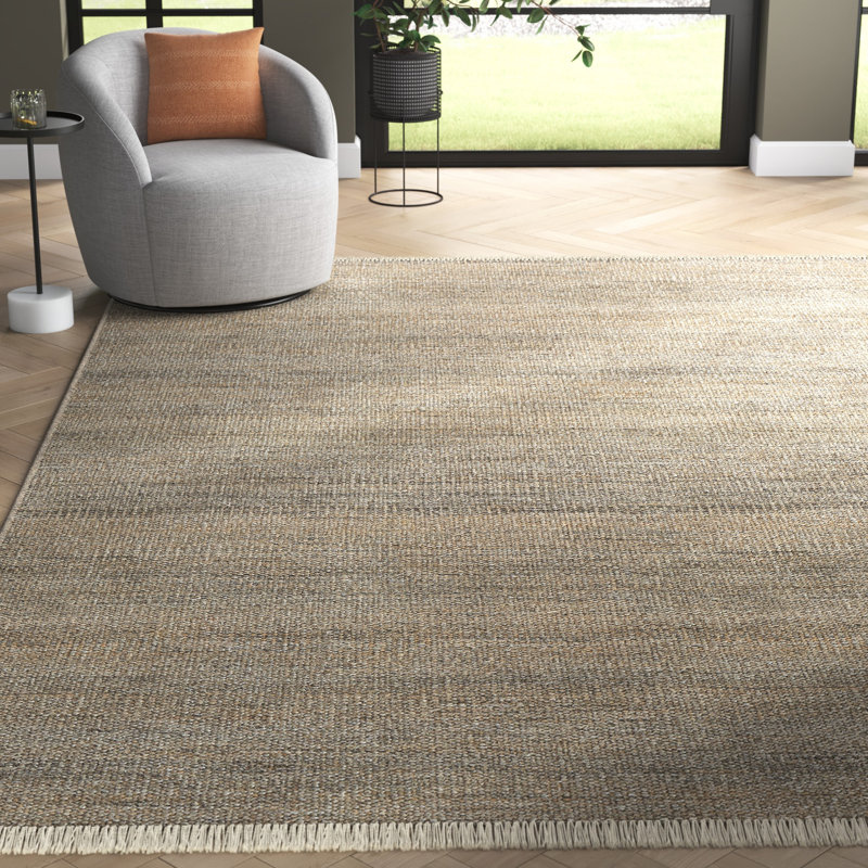 Cassandra Hand Woven Indoor/Outdoor Area Rug, Rectangle 9' x 12'
