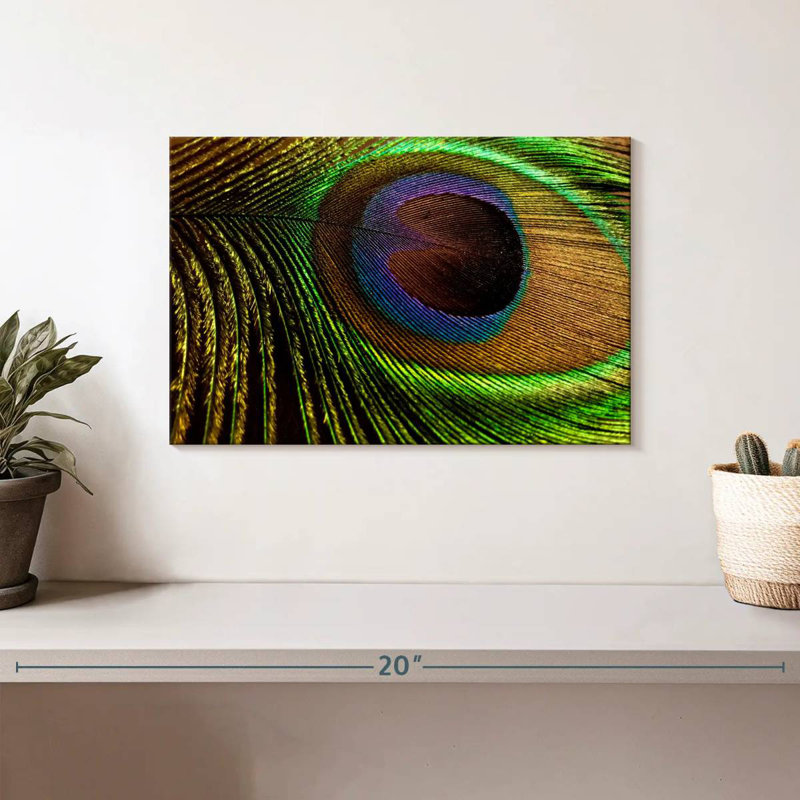 Brampt Eyespot On Peacock Feather, 8" H x 12" W