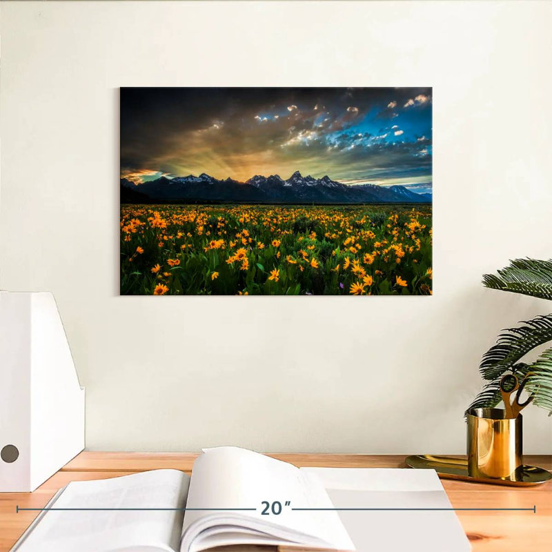 Rayons de soleil Alvord Grand Teton, H 8 po x l 12 po
