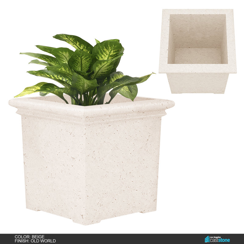 Concrete Planter, Old World Beige