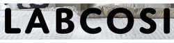 Logo Lab Cosi