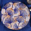 Ashwaq Dinnerware Set 24 Piece - Service for 6