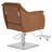 Swivel Salon Chair for Hair Stylist, Barber Chair with Height Adjustment for Spa and Hair Salon-481338752