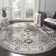 Driffield Vintage Hamadan Performance Oriental Rug